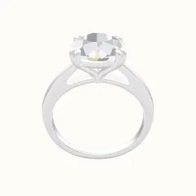 Cathedral Engagement Ring With Double Prongs Head