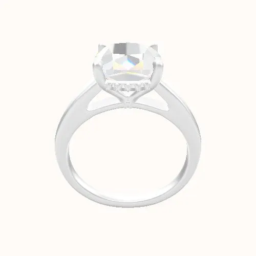 Cathedral Engagement Ring With Front set gallery Head