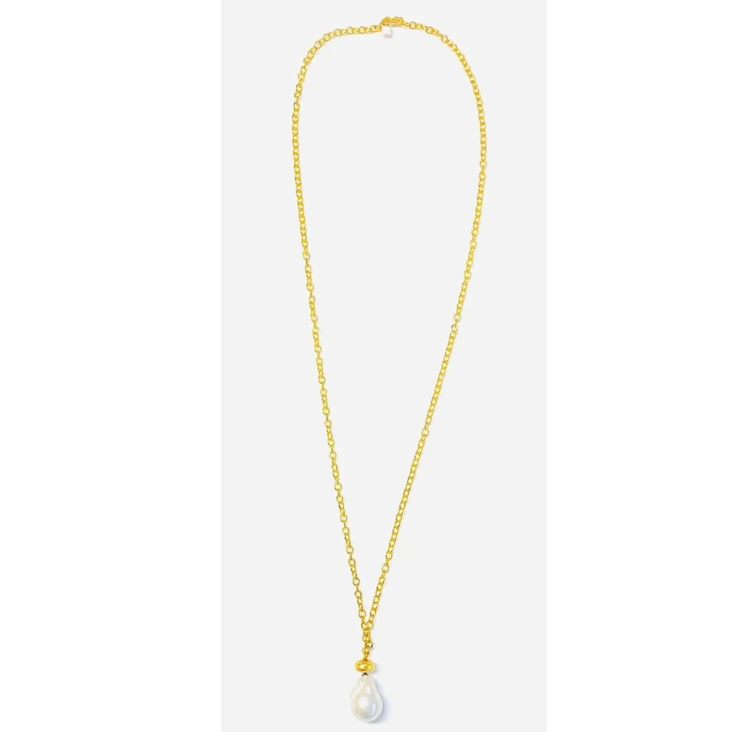 Delia Long Necklace