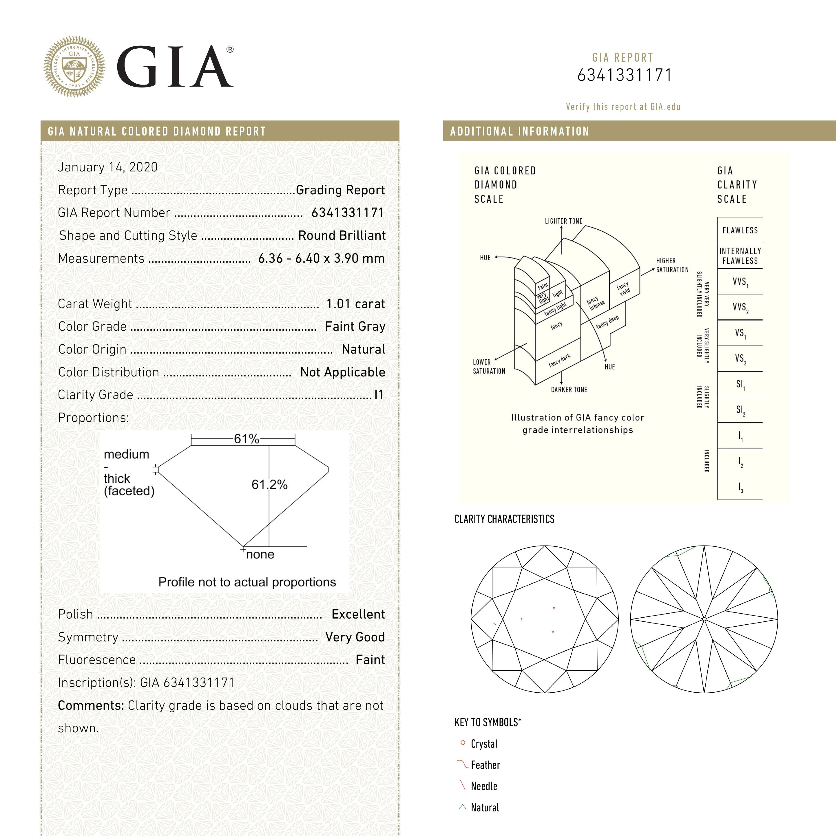 Faint Grey Brilliant Diamond - 1.01ct Round