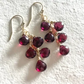 Garnet Dreams Cascade Earrings