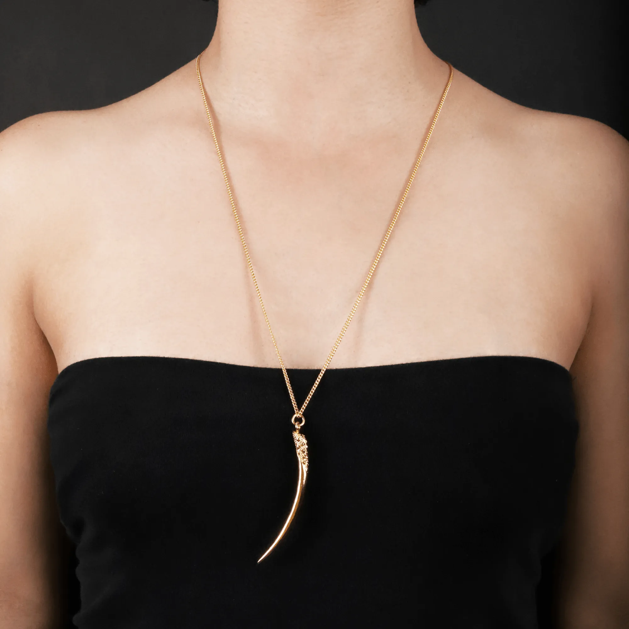 Long Horn Necklace