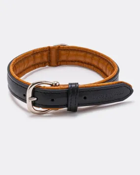 Padded Leather Dog Collar - Black and Brown